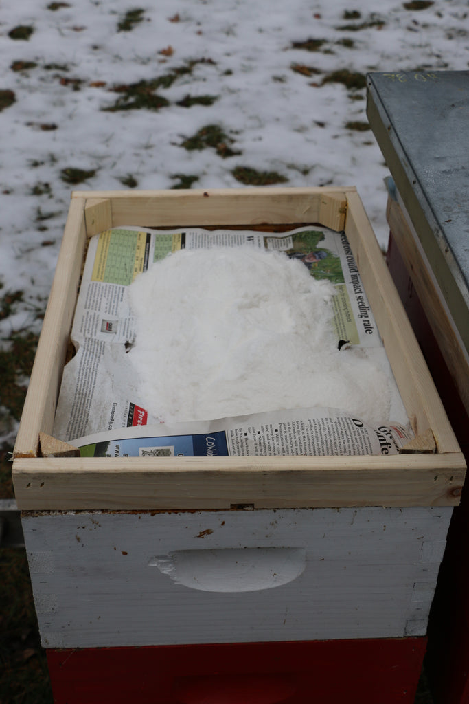 Feeding Your Bees This Winter 2021 Local Buzz Bees